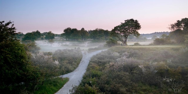 Khgcc nature